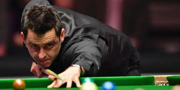 此次活动不 此次活动不