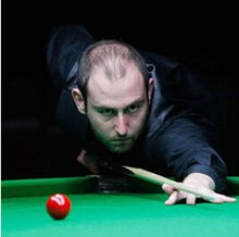 的反应能力 的反应能力