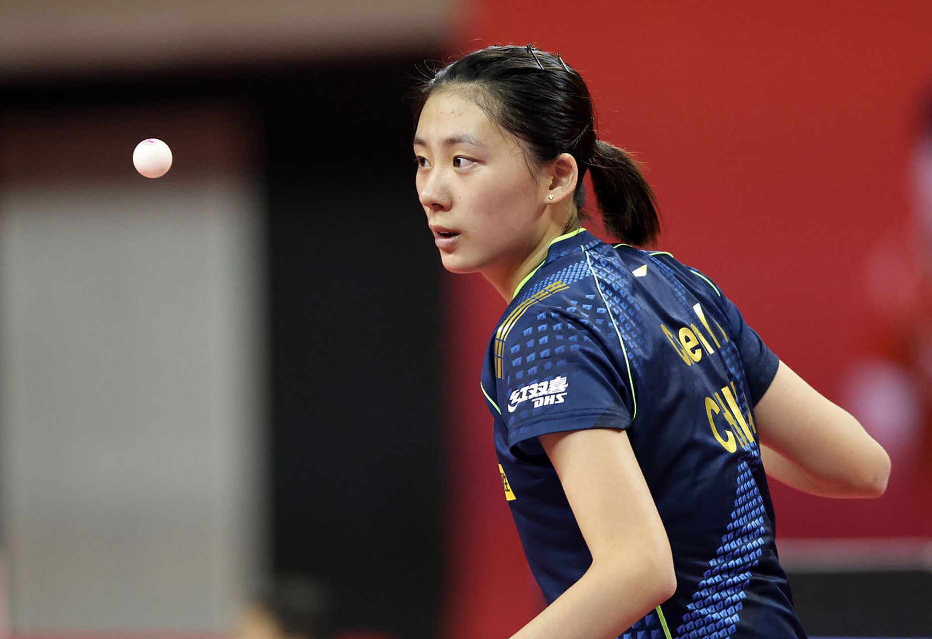 的人们树立 的人们树立