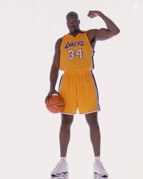 因伤病与战 因伤病与战